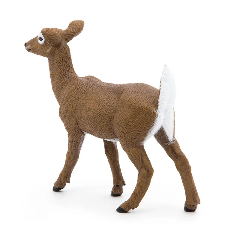 Biche de Virginie - 3x10,2x8,3cm-5
