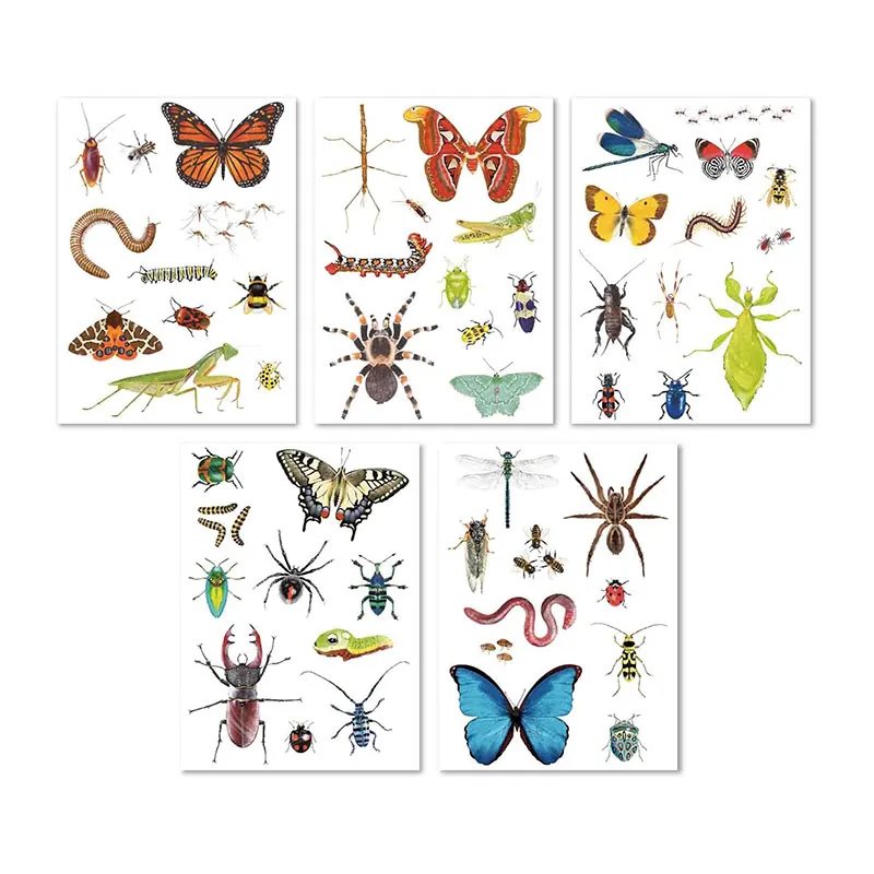 Stickers Découvrir les Insectes - 50pcs-2