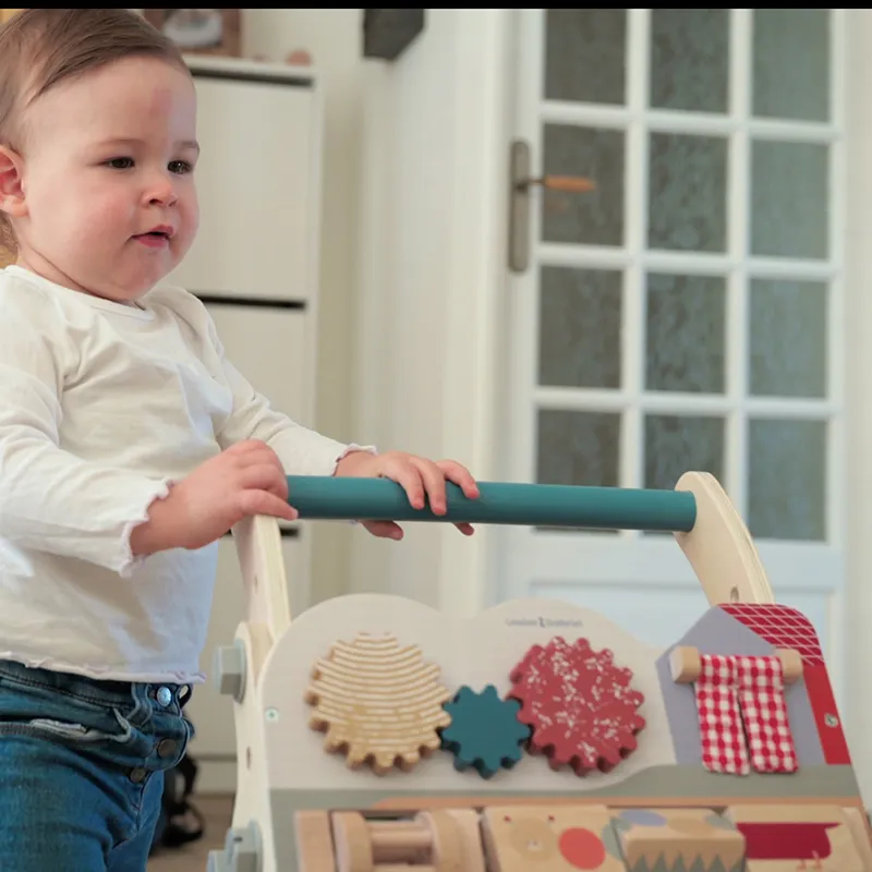 Chariot de marche Simone - 10m+-5