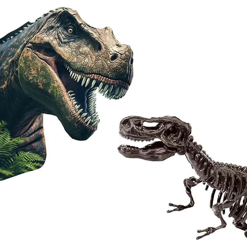 Kit de fouille 2en1 Dino. & Squelettes T-rex - 5+-4