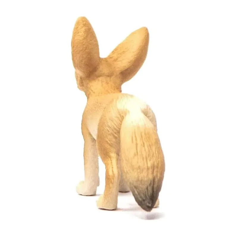 Fennec - Wild Life-4