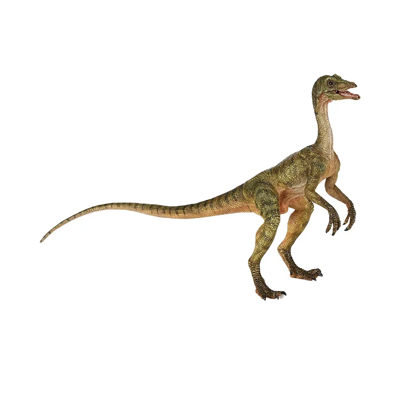 Compsognathus - 17x12cm-0