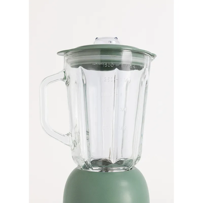 Blender style Américain Sauge - 800W-3