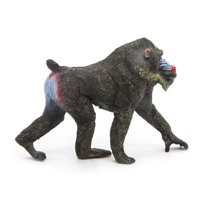 Mandrill - 4x10x7,5cm-2