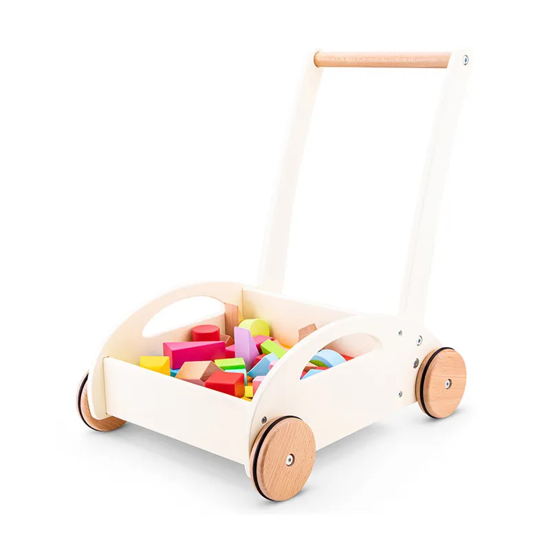 Chariot à pousser avec blocs 30pcs - 12m+-0