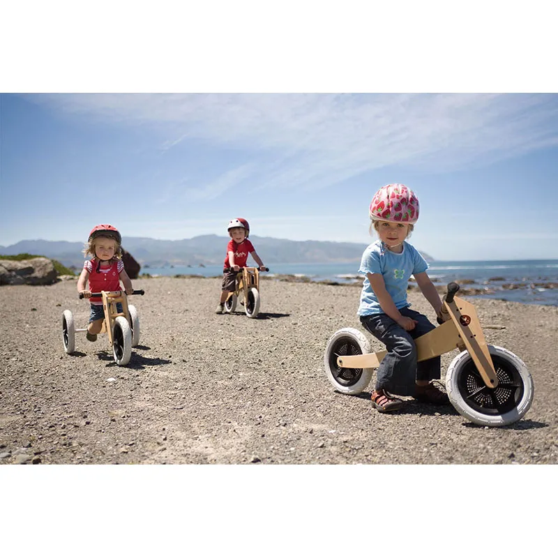 Tricycle 3en1 Original Pingouin - 12m+-8