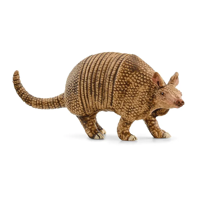 Tatou - Wild Life-0