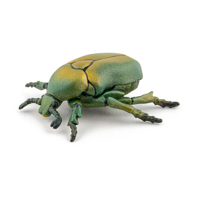 Cétoine doré - 4,3x4x1,5cm-1