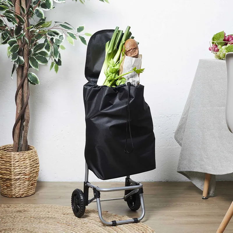 Chariot shopping 2 roues Noir - 35x87x28cm-8
