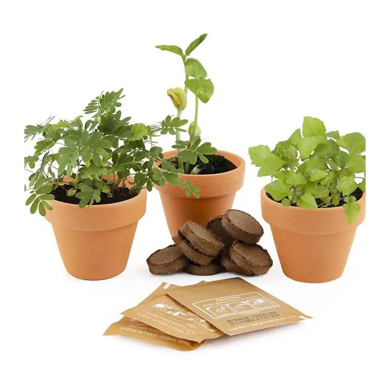 Trio de Pots - Plantes magiques-4