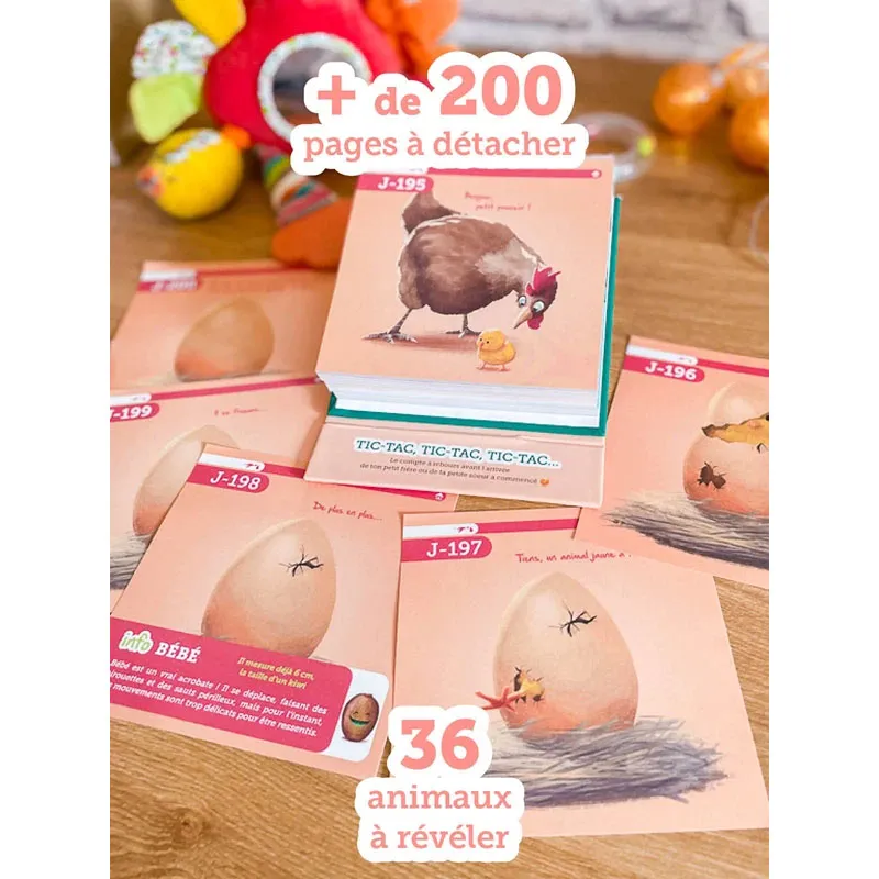 Calendrier de l'Avant Bébé - Futurs grands frères & sœurs -4