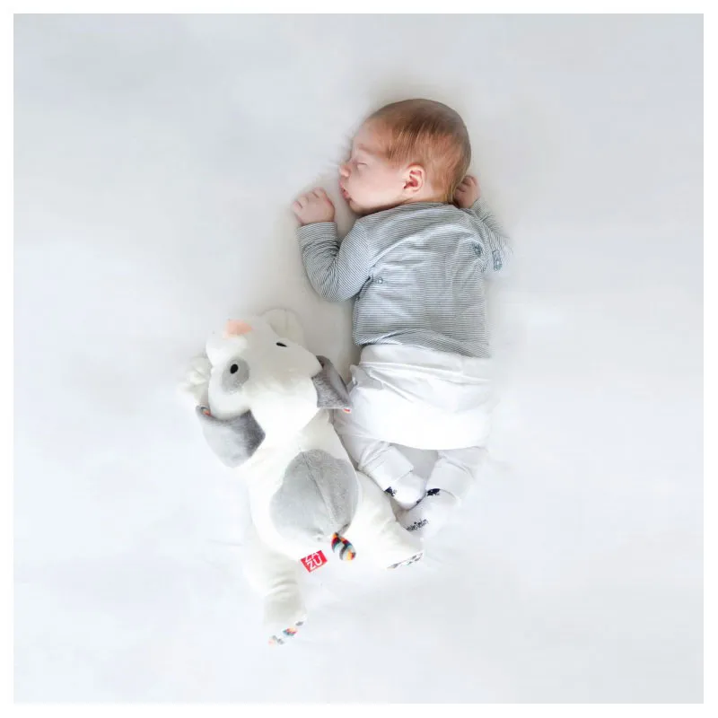 Peluche musicale apaisante Dex le Chien - 0m+-12