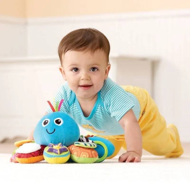 Pieuvre multi-activités - 6m+-13