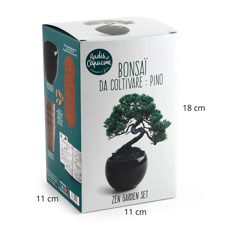 Kit Bonsaï Pin Parasol-7