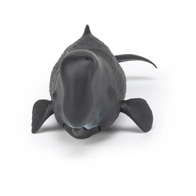 Cachalot - 26x8,2cm-5