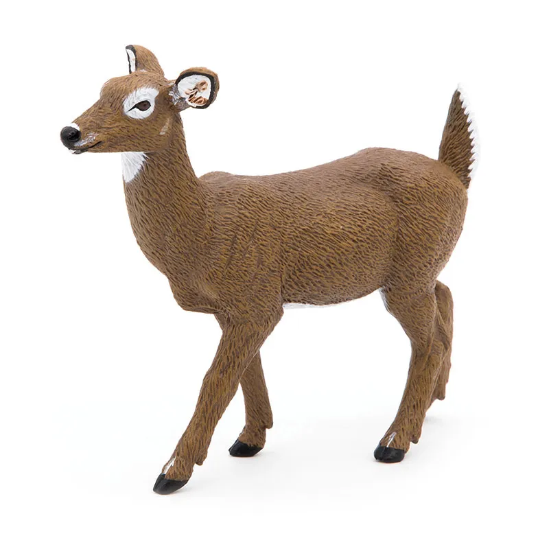 Biche de Virginie - 3x10,2x8,3cm-3
