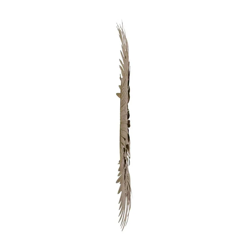 Miroir Plumes Métal Doré - ø53cm-4