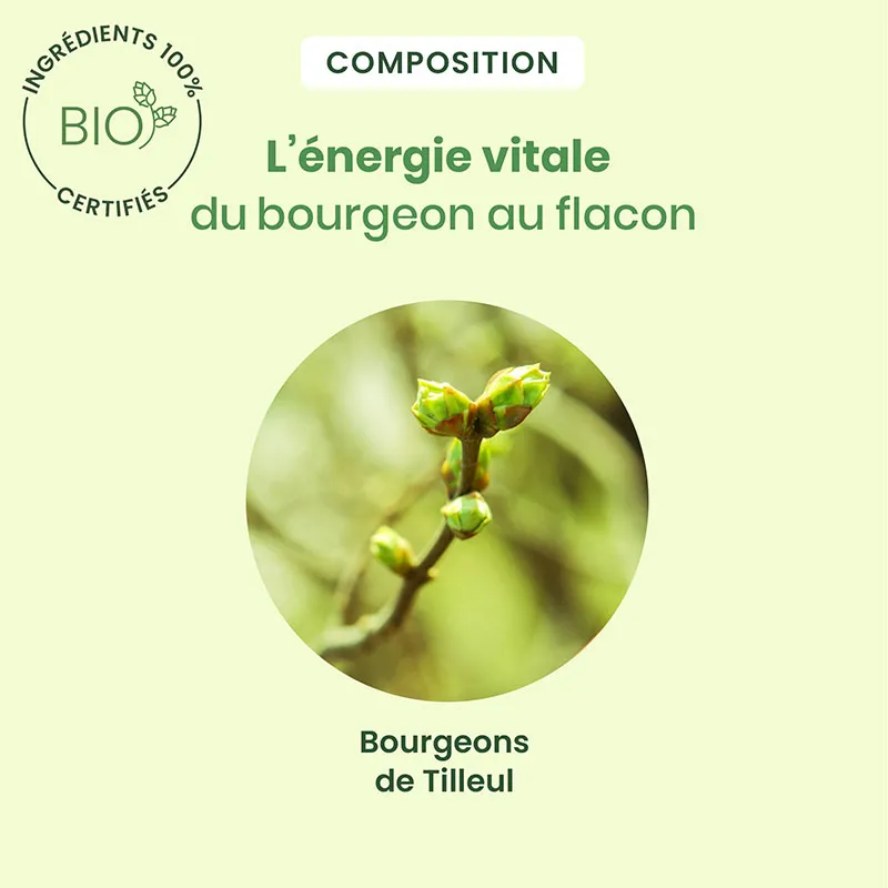 Tilleul BIO - 30ml-3