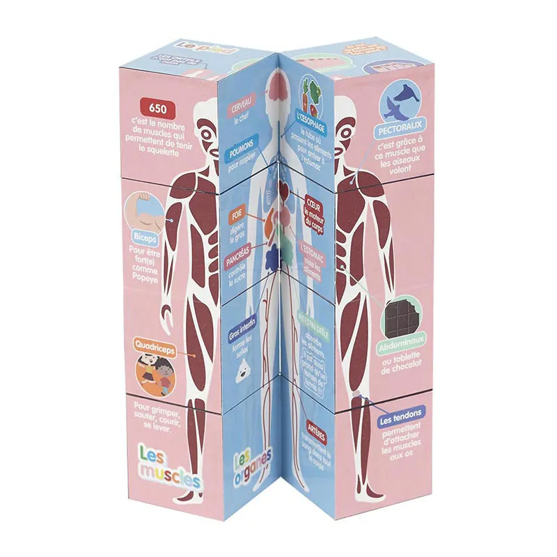 Cube éducatif Corps humain - 28,5x7x7cm-5