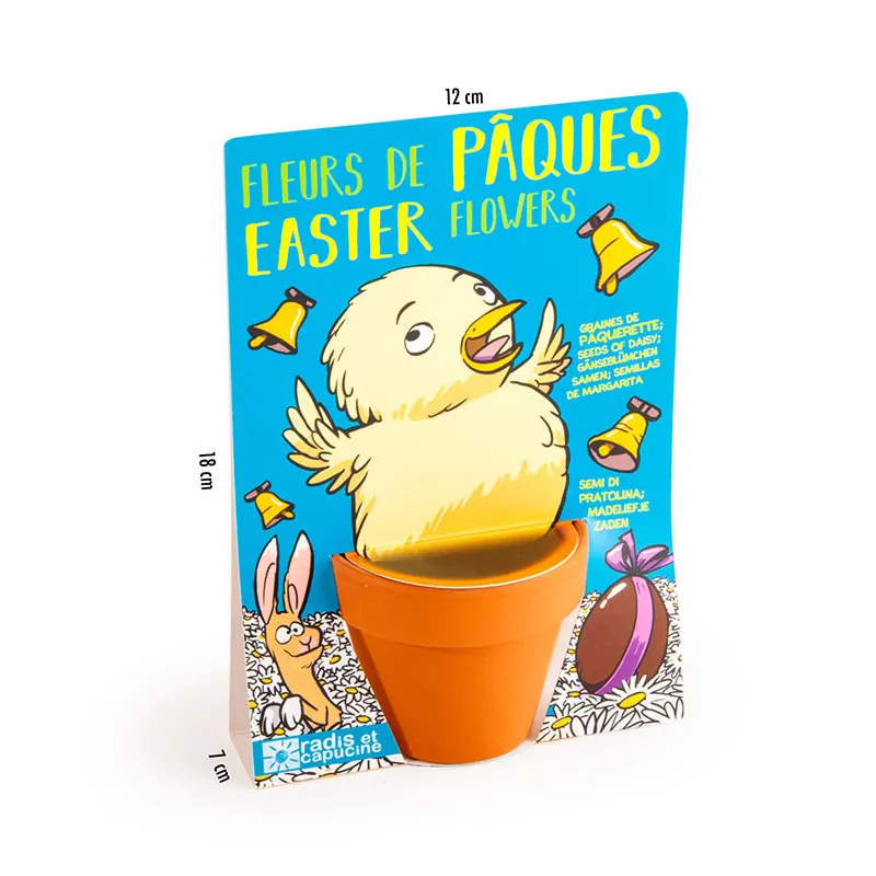 Kit à semer - Œuf de Pâques Paquerette-5