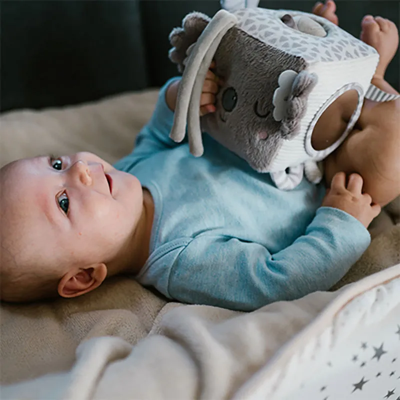Cube d'activité Koala Coco - 0m+-5