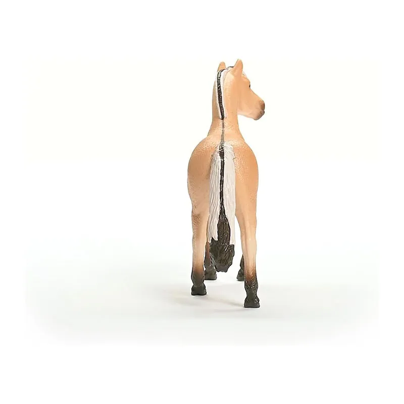 Hongre Fjord - Horse Club-5