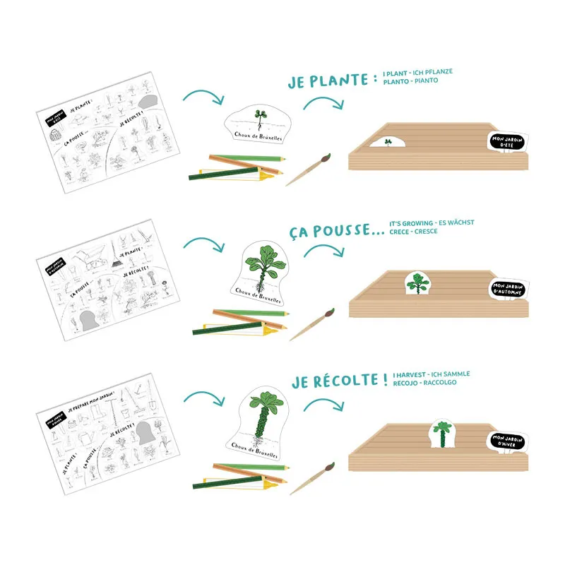 Kit DIY Potager en carton Mon jardin 4 saisons - 5+-1