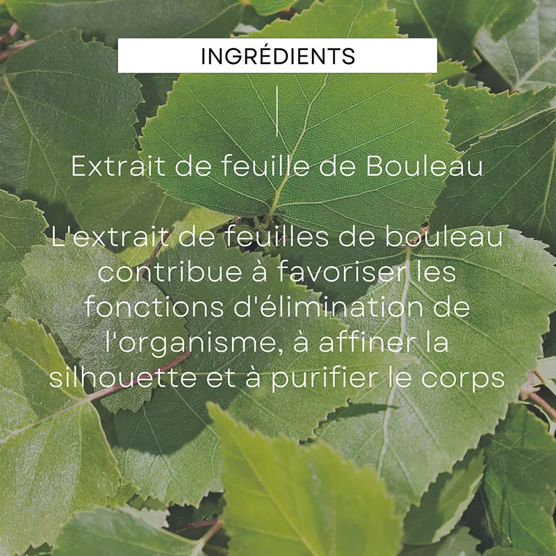 Huile de Massage Minceur au Bouleau - 200ml-5