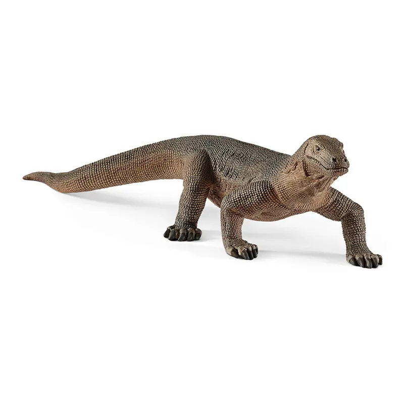 Dragon de Komodo - Wild Life-0