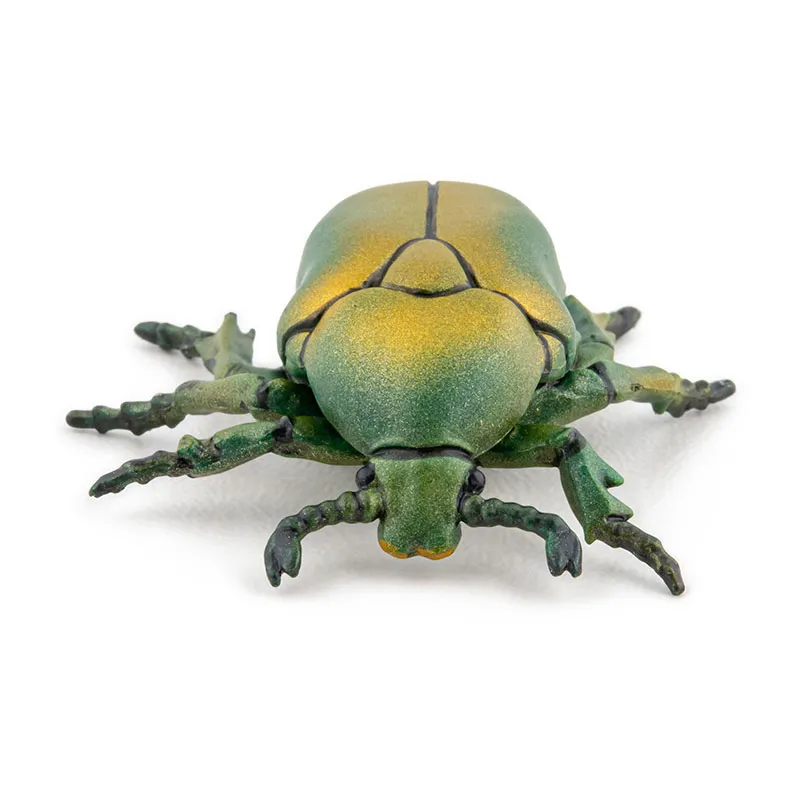 Cétoine doré - 4,3x4x1,5cm-2