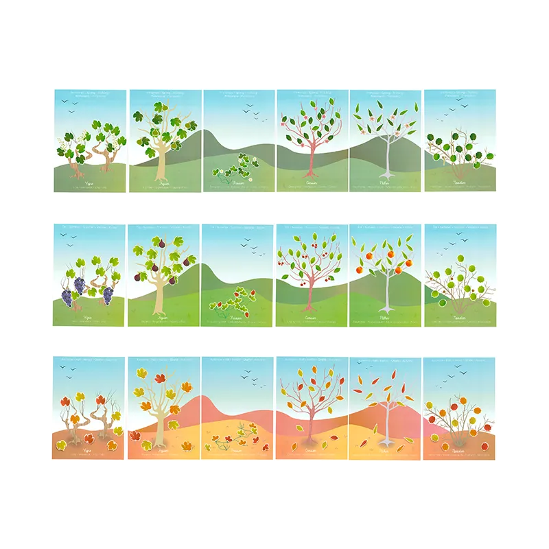 Gommettes Les 4 saisons 576pcs - 3+-6