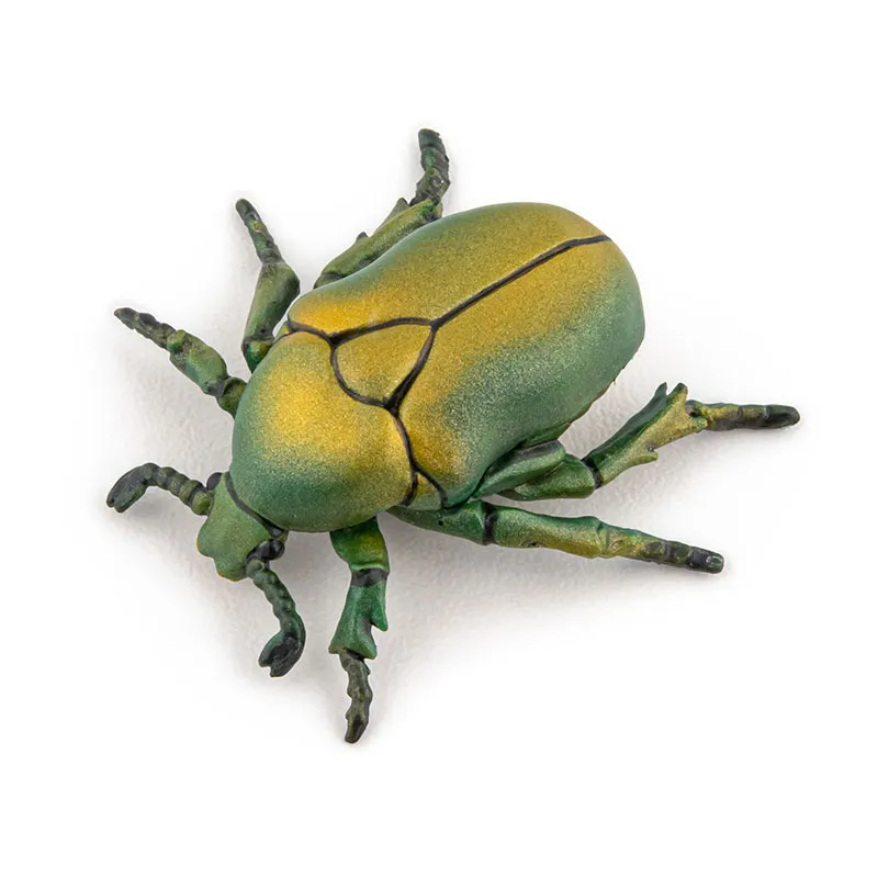Cétoine doré - 4,3x4x1,5cm-0