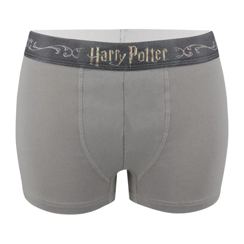 4 Boxers Homme Harry Potter - Gris-6