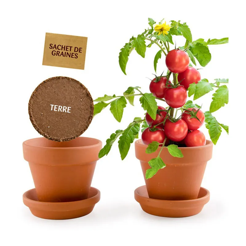 Pot de culture av. coupelle - Tomates cerise BIO-1