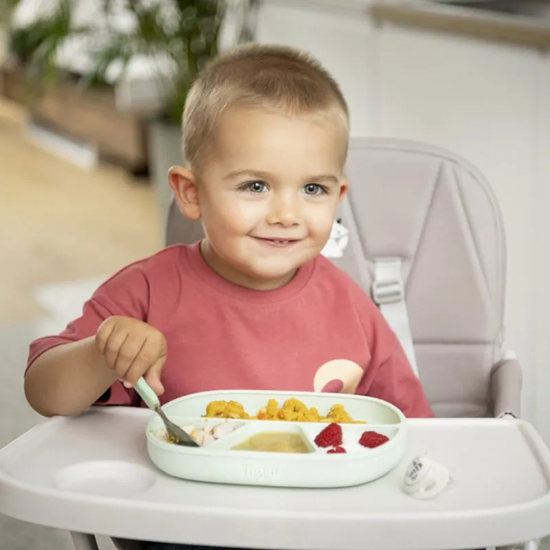 Assiette à ventouse compartimentée Vert - 4m+-5