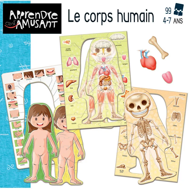 Jeux éducatif Le corps humain - 4+-3