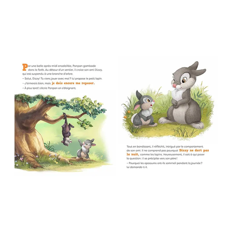 Les nouvelles histoires de Disney Bonne nuit, Panpan ! - 36m+-1