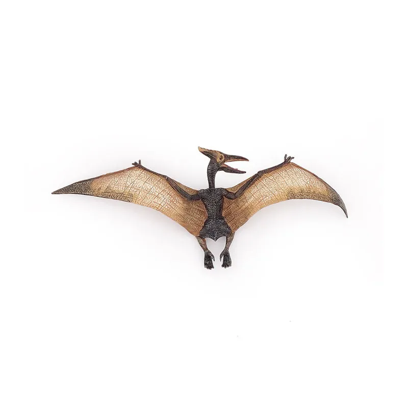Ptéranodon - 23x23cm-3