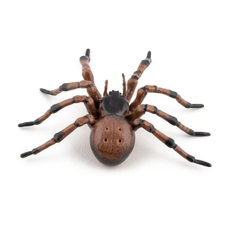 Araignée commune - 6,3x6,1x2,4cm-6
