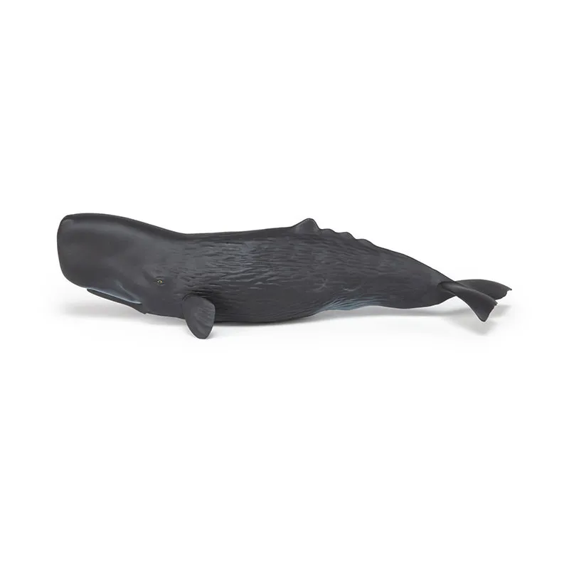 Cachalot - 26x8,2cm-0