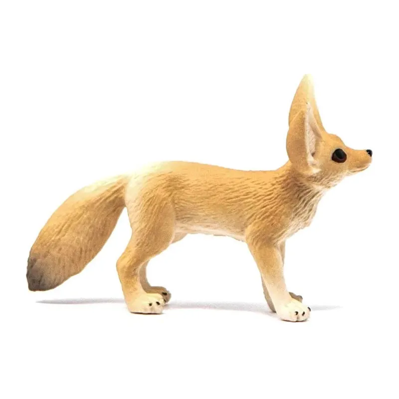 Fennec - Wild Life-5