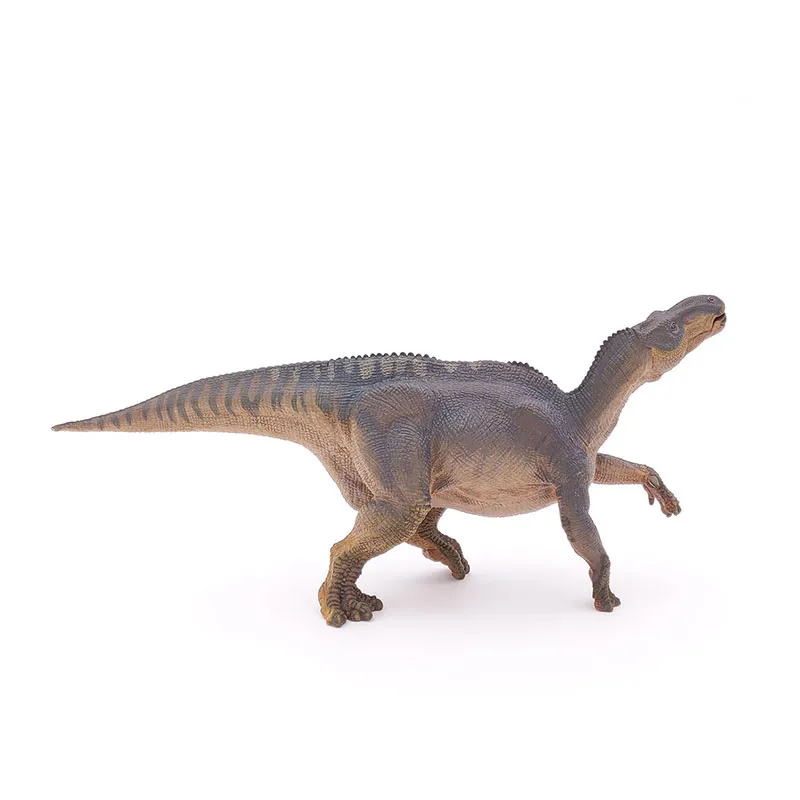 Iguanodon  - 24,5x6,5x10,5 cm-3