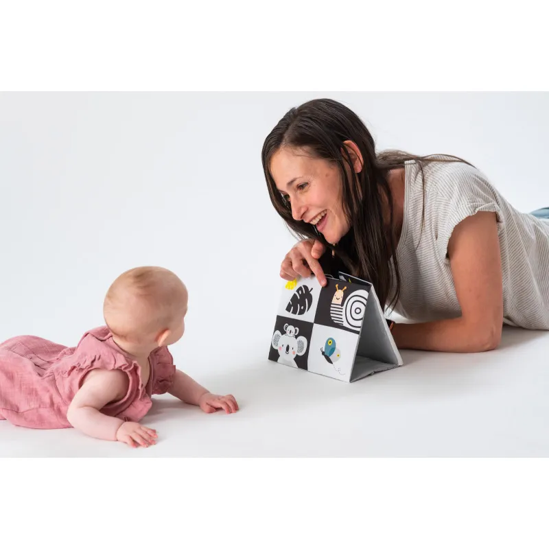 Livre miroir chevalet Koala - 0m+-1