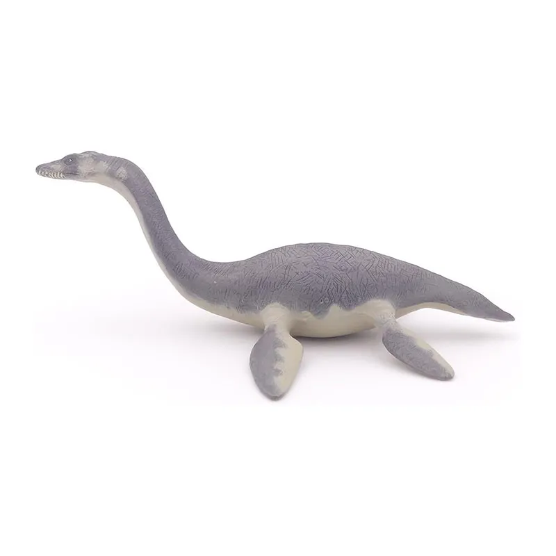 Plésiosaure  - 22x13,5x8 cm-3