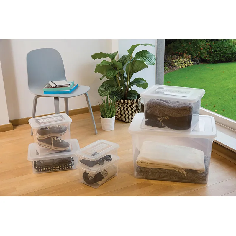 Boîte de rangement Handy Transparent - 25L-1