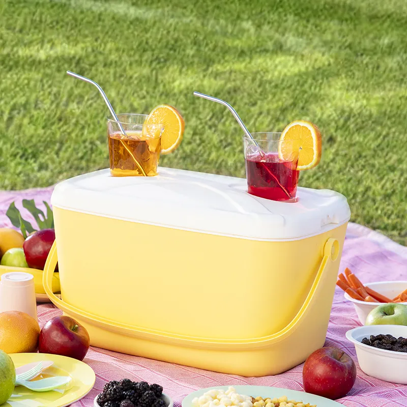 Glacière Rigide Portable - 15L-0