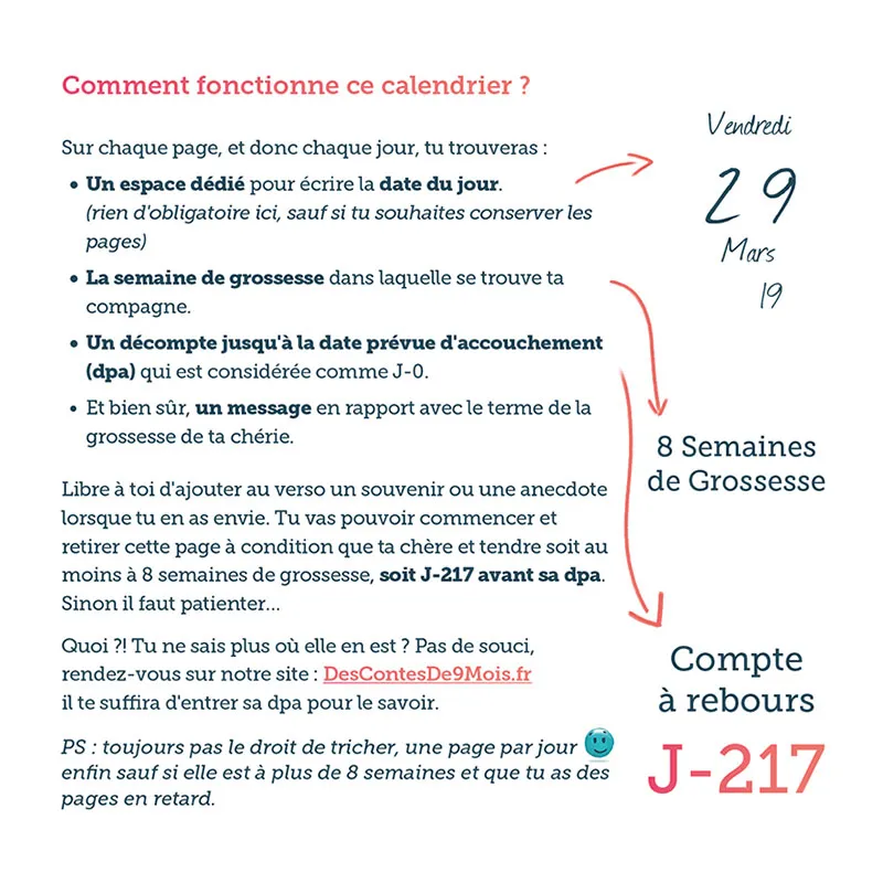 Calendrier de grossesse - Futur Papa -4