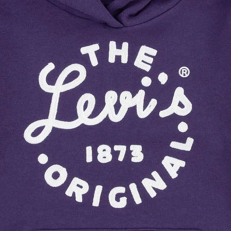 Sweat à capuche Enfant pullover - Grape Levis-3