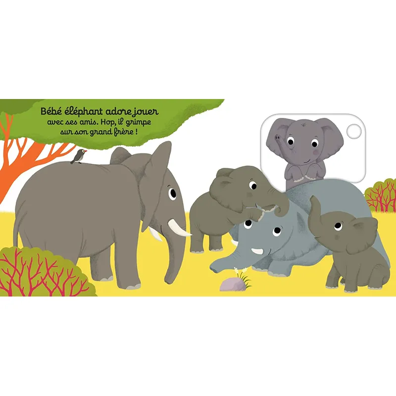 On s'amuse, petit éléphant ? - 12m+-3