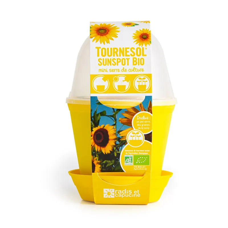 Pot cloche - Tournesol Bio-1